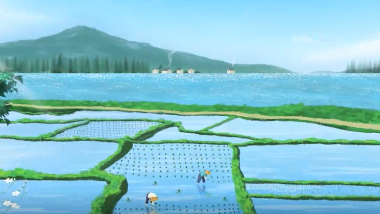 芒种，收获另一个开始