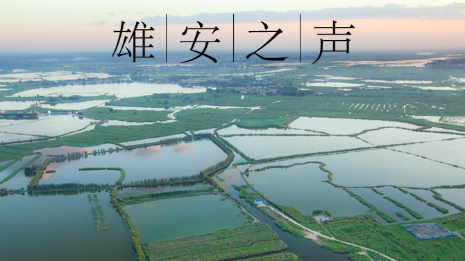 【新金宝官方网站入口之声】20220615