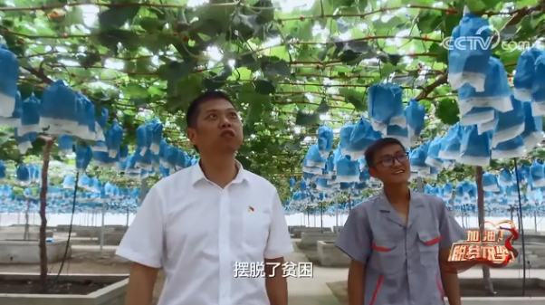 《加油！脱贫攻坚》第三十集《脱贫路上的“善港号”》