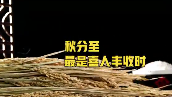 秋分至，最是喜人丰收时