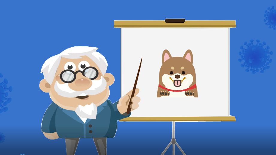 世界狂犬病日丨近100%病死率，这些知识要牢记！