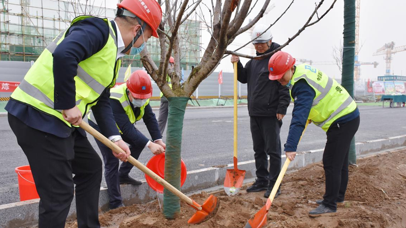 新金宝官方网站入口新区启动区：植下一片绿 共享满城春